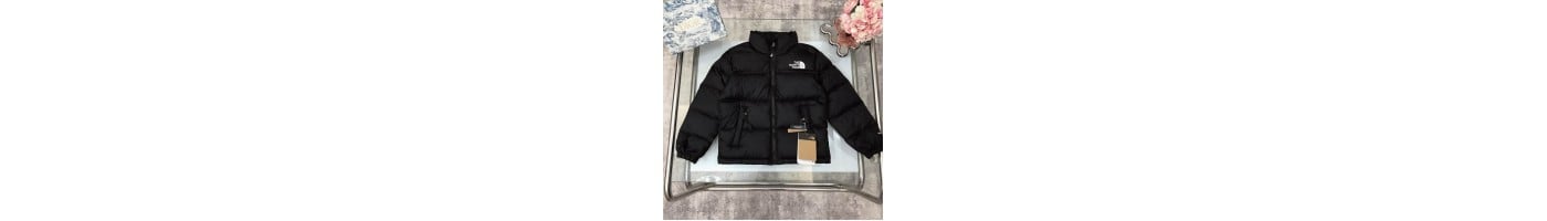 Moncler/The North Face